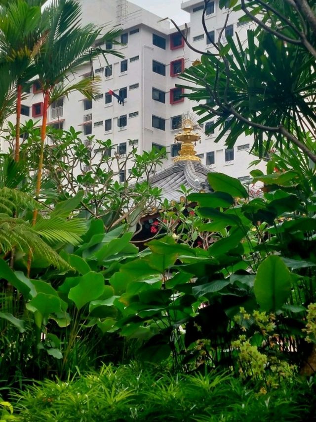 A Tranquil Escape at Buddha Tooth Relic Rooftop Garden