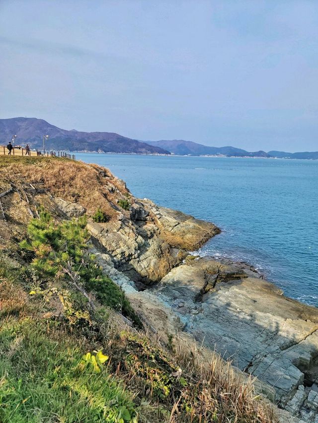 언제가도 멋진 오션뷰 바람의 언덕✨️