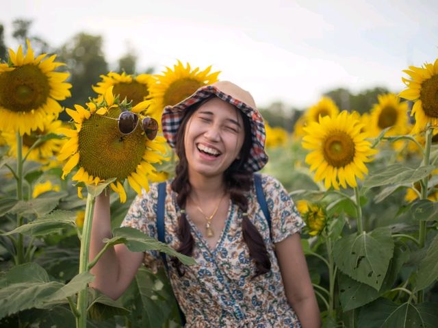 ตะวันบาน...ที่อ่างดอกกราย🌻🌻🌻🌻