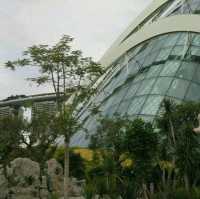 Gardens By The Bay