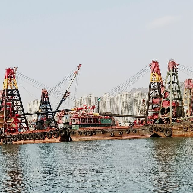 屯門海濱花園到屯門碼頭，散步，遛達，閒逛一流！