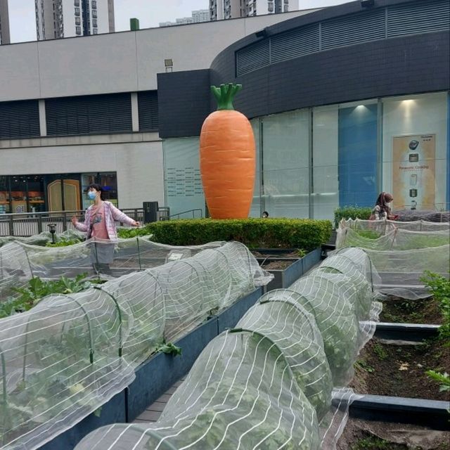 新都會廣場果藝甜園遊樂場