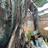 坪洲1日遊｜閒遊秘密花園。尋訪「港版沉下橋」。漫步東灣沙灘