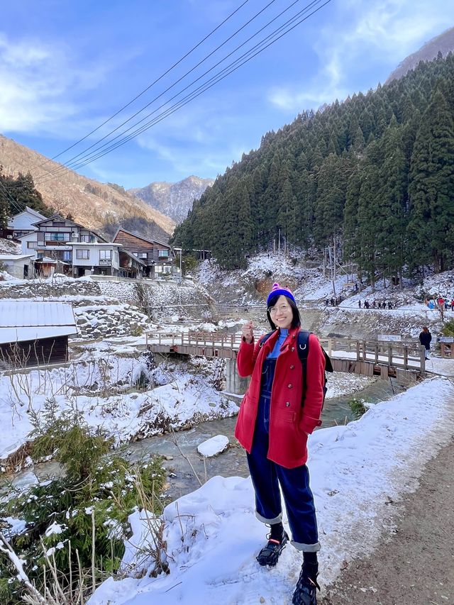 Jigokudani Snow Monkey Park