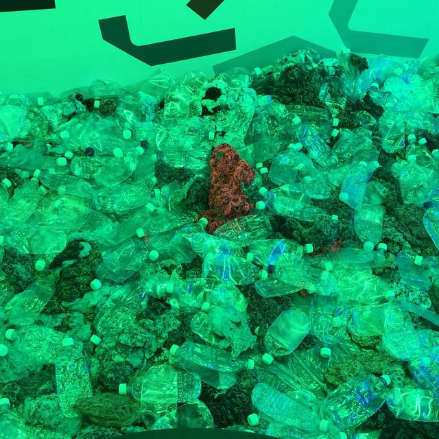 飛越到2222年未來選擇地｜華山永續概念展🌲
