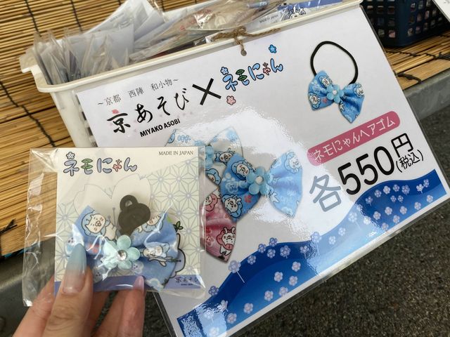 【大阪】春はネモフィラ畑に行こう！