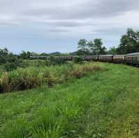 【ケアンズ おすすめ】キュランダ 高原鉄道