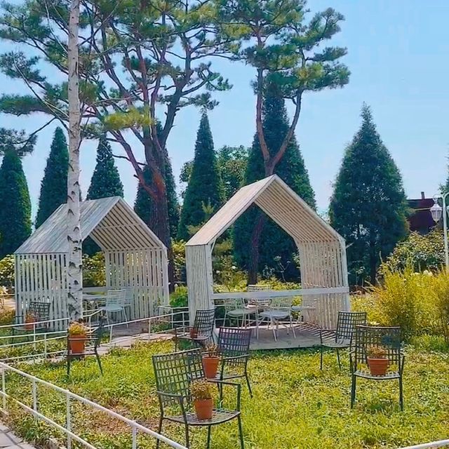 이때가 아니면 즐길 수 없어! 인천 제철 여행🌿
