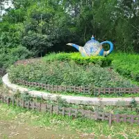 虞山公園的個人體驗感受