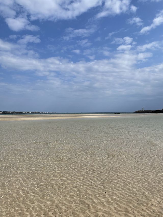 한적하고 매력적인 제주 표선해수욕장🏝️
