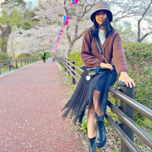 さくら🌸 ฤดูแห่งความน่ารัก