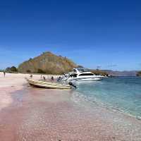 Pink Beach Komodo