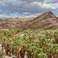 Indian Canyon, Palm Springs อเมริกา