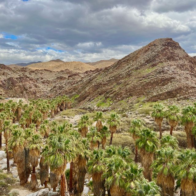 Indian Canyon, Palm Springs อเมริกา