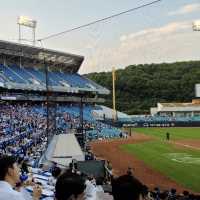 무더위 데이트코스 야구장 추천⚾️