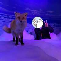 【北海道】クリオネがいっぱい！オホーツク流氷館