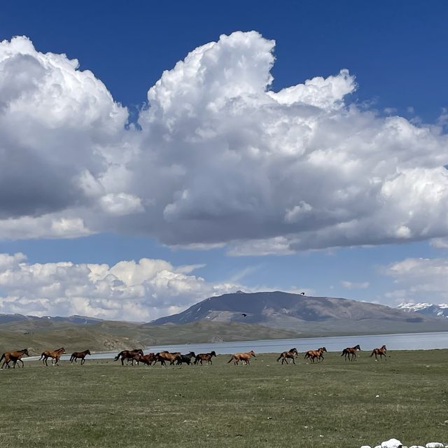Horseback riding to lake song kul