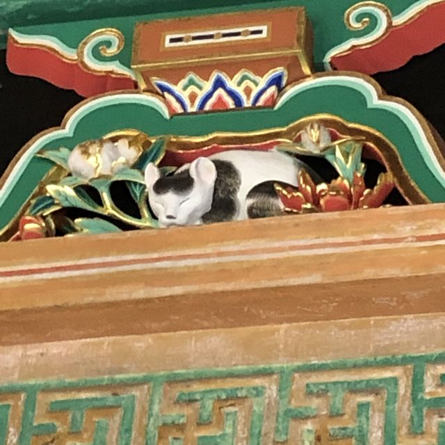 【世界遺産】日光‼️