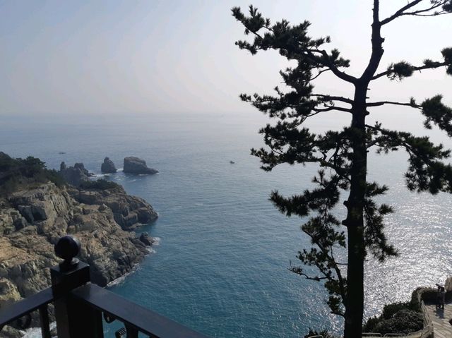외국 느낌 식물원 수목원 외도보타니아
