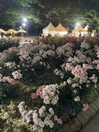 장미축제 막차타기 성공 🌹❤️