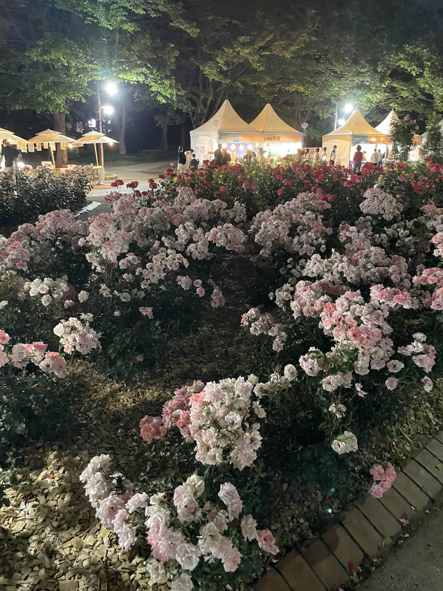 장미축제 막차타기 성공 🌹❤️