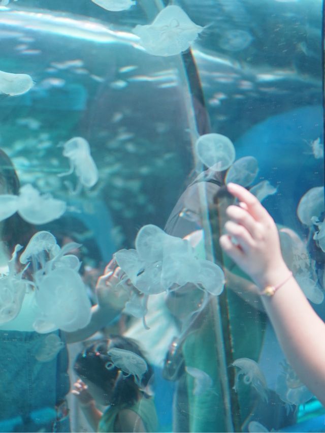 親子週末好去處｜歡樂海岸海洋奇夢館🌊