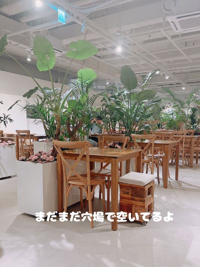 明洞に超映えカフェがNewOPEN アーバンプラント明洞