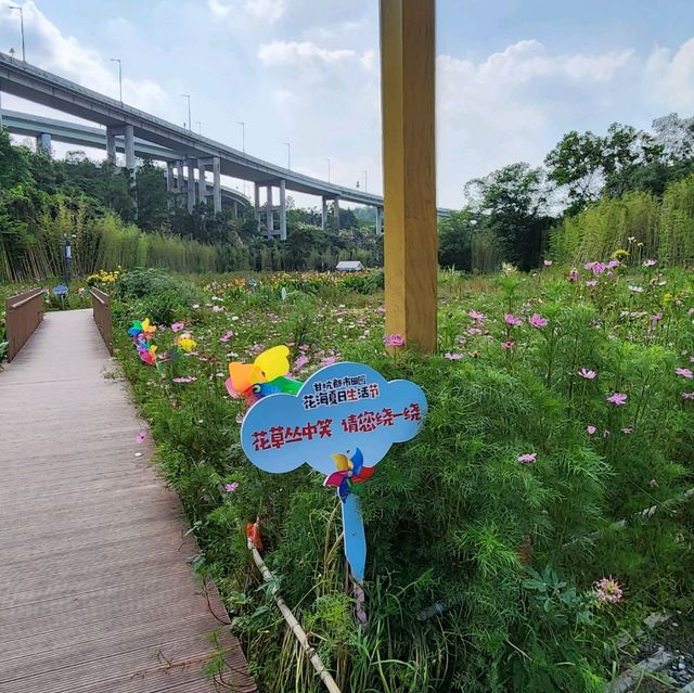 ▍療癒之旅 ▍深圳都市田園：忘卻喧囂，尋覓愜意自然美景 