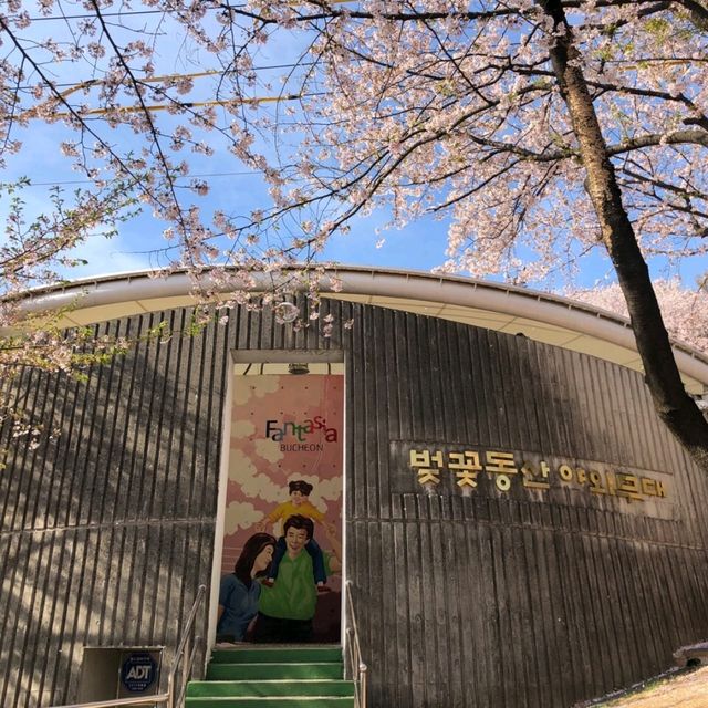 超美的遠美山🤩 四月時必到景點