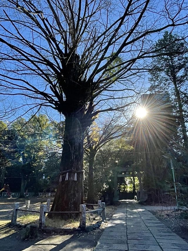 【東京都/赤坂氷川神社】生け花スタイルの花手水のある神社