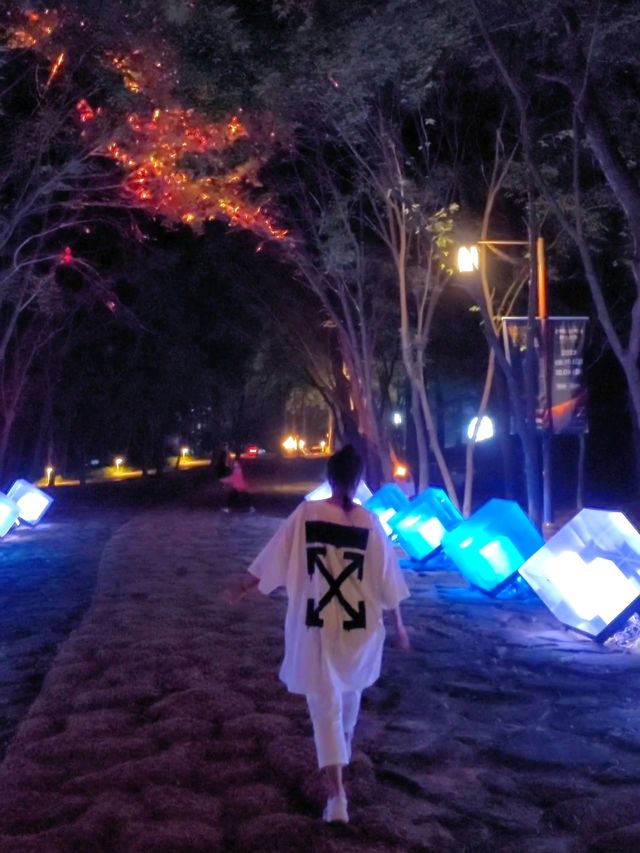 부소산성에서 펼쳐지는 부여 문화유산 미디어아트💛