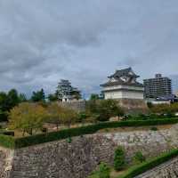 🇯🇵 Chasing Castles, Chasing Ruins