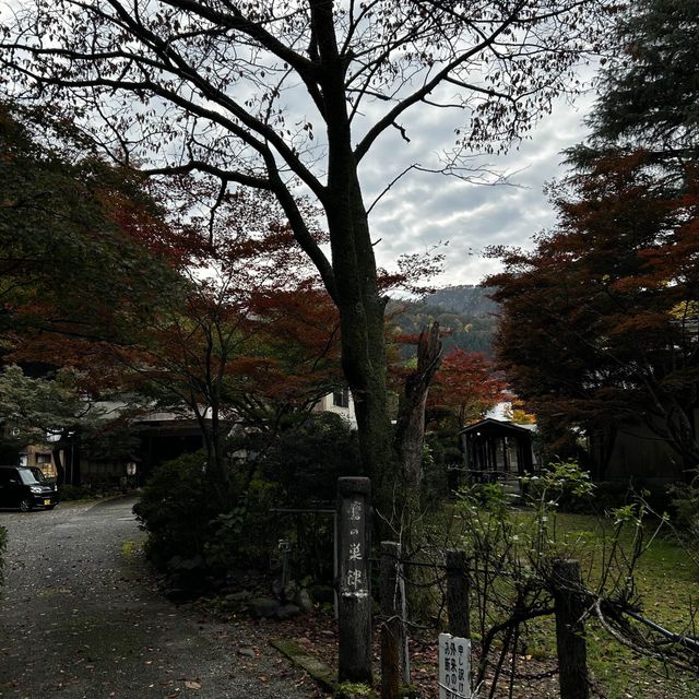 Autumn foliage sightings 