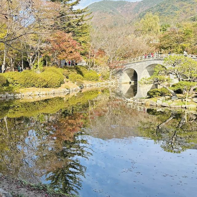 가을 단풍 즐길수 있는 불국사