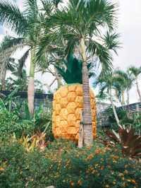 沖繩｜親子好去處 去逛逛超可愛的名護鳳梨公園🍍