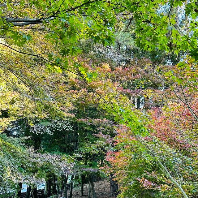 Fushoushan Farm