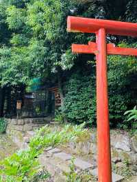 【島根県/出世稲荷神社・玉泉分祠】2023年行ってよかった！島根県の神社②