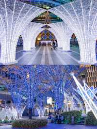 Winter Illumination สถานี Hakata จัดไฟปีใหม่แล้ว🎄