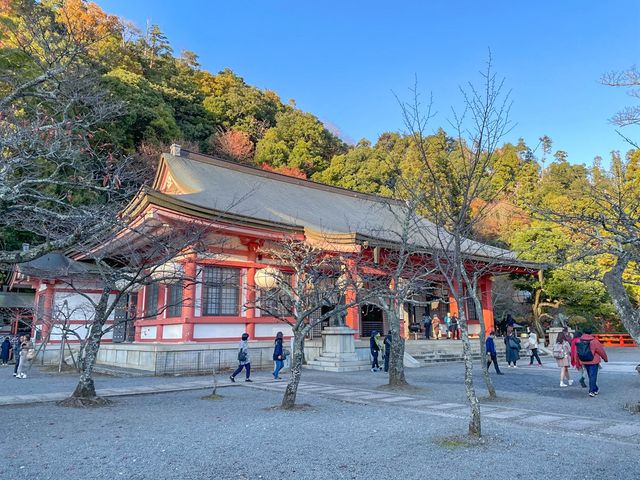 교토의 조용한 사찰에서의 단풍구경🍂