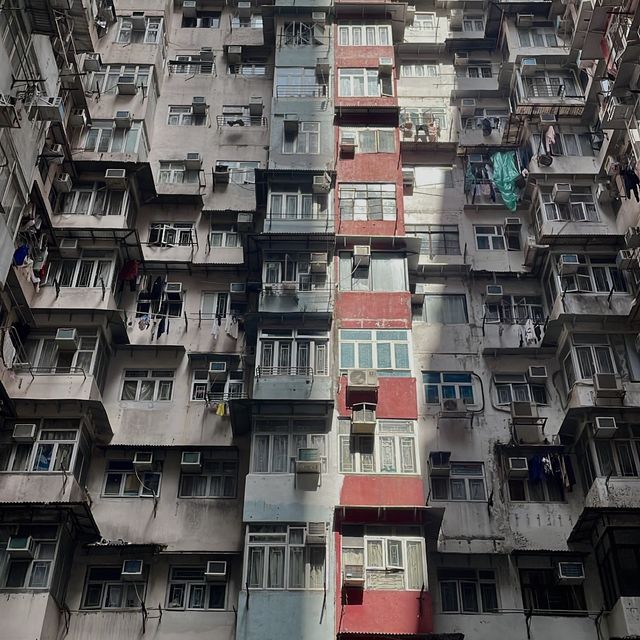 【香港】おすすめスポット🇭🇰