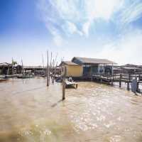 Coastal Adventure on a Boat Ride at Kukup