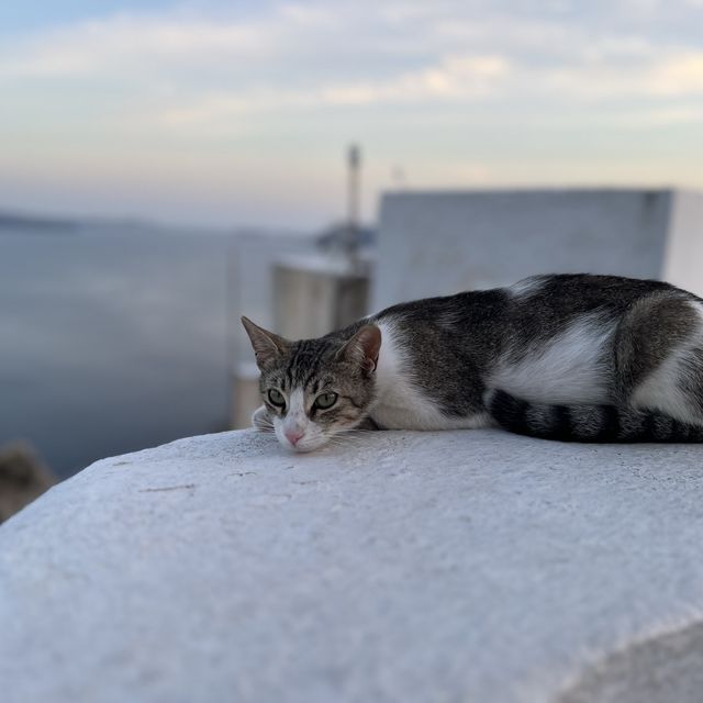 希臘Santorini Oia小鎮