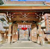 Hakata's Sacred Tapestry Unveiled: Journey