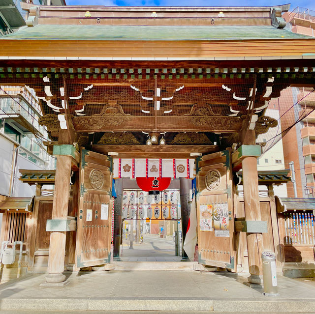 Hakata's Sacred Tapestry Unveiled: Journey