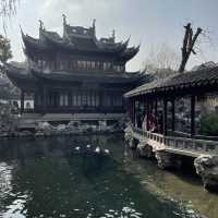 Yuyuan Garden: Shanghai’s Timeless Treasure of Serenity