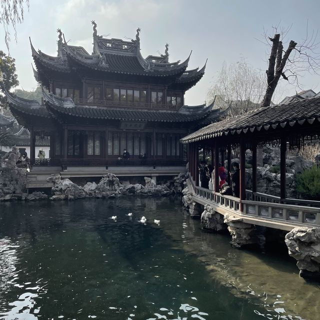 Yuyuan Garden: Shanghai’s Timeless Treasure of Serenity