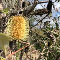 Kioreroa Bliss: Nature's Whispering Haven