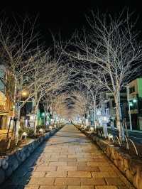 【神奈川県】ライトアップが美しい夜の鶴岡八幡宮