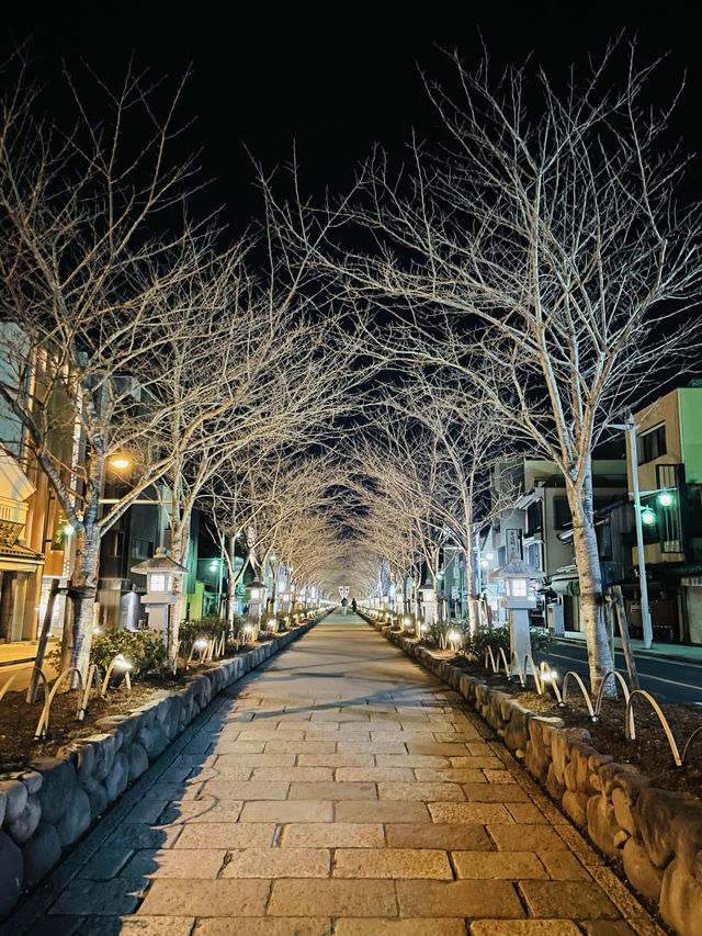 【神奈川県】ライトアップが美しい夜の鶴岡八幡宮