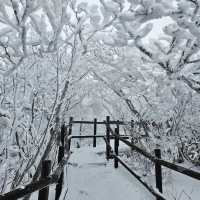 The Beauty of Deogyusan NationalPark inWinter